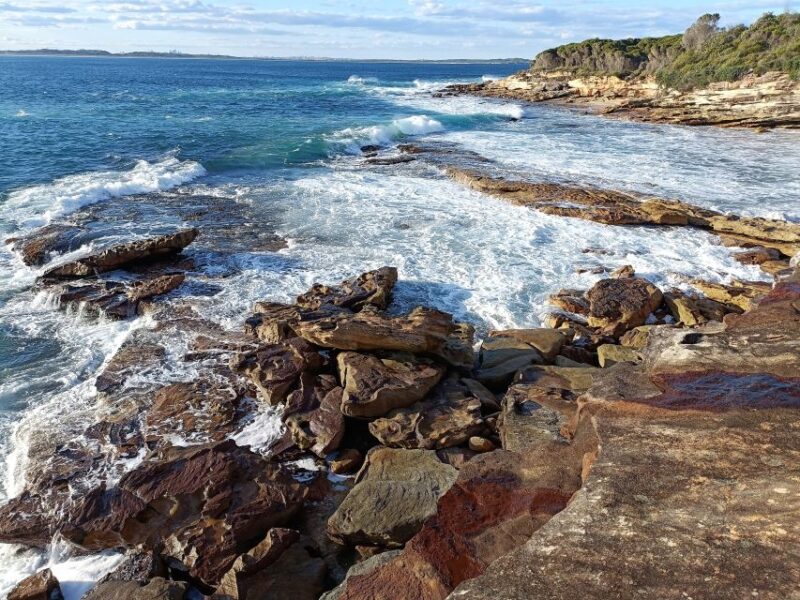 From Sydney: Sea Cliff Bridge, Beaches, and Farmlands Tour - Not Suitable For