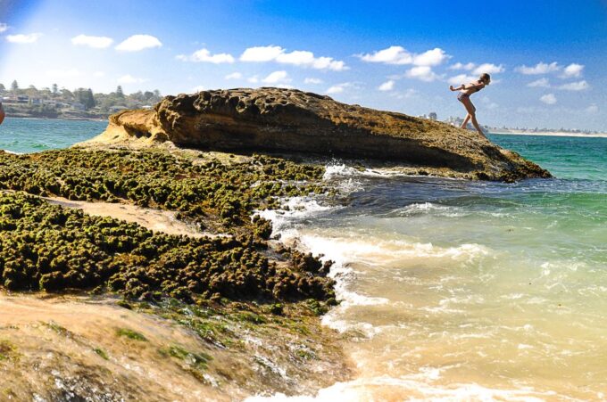 From Sydney: Sea Cliff Bridge, Beaches, and Farmlands Tour - Tour Activities