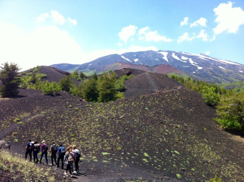 From Syracuse: Etna Tour With Light Lunch and Wine Tasting - Pricing Details