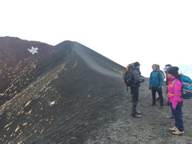 From Syracuse: Etna Tour With Light Lunch and Wine Tasting - Itinerary Highlights