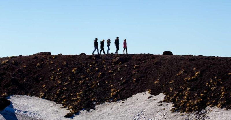 From Syracuse: Etna Volcano & Zafferana Etnea Private Tour - Reaching the Summit Crater