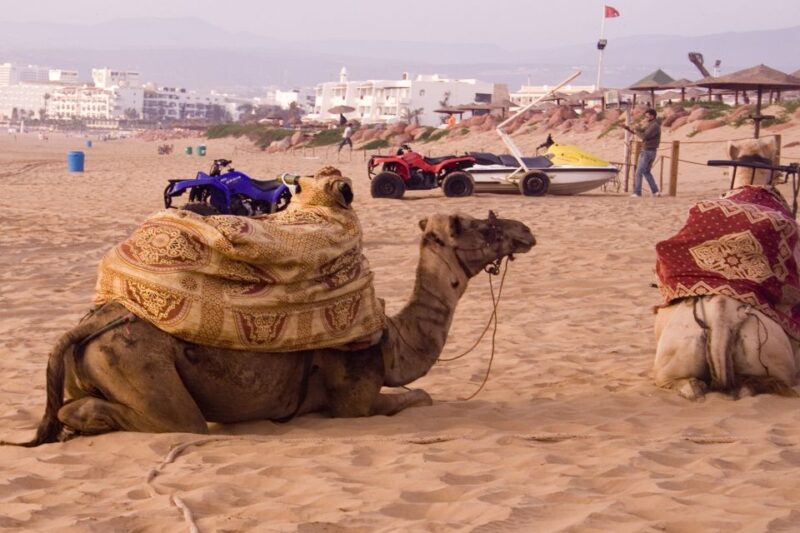 From Taghazout: Agadir Markets & Argan Oil Guided Tour - Important Information