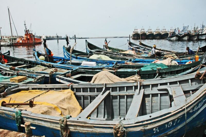 From Taghazout: Agadir Markets & Argan Oil Guided Tour - Customer Feedback