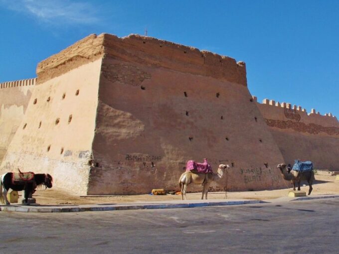 From Taghazout: Agadir Markets & Argan Oil Guided Tour - Frequently Asked Questions