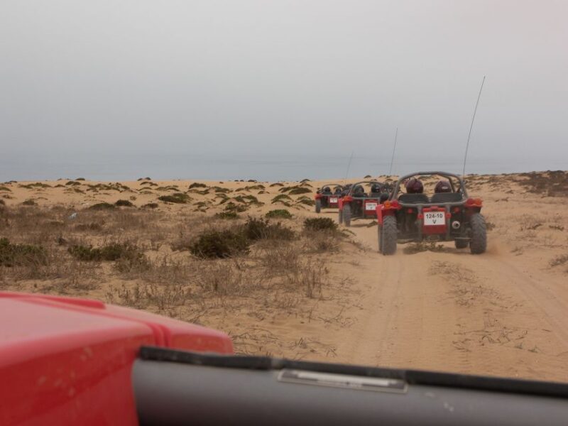 From Taghazout: Countryside Buggy Tour With Transfer - Safety and Equipment