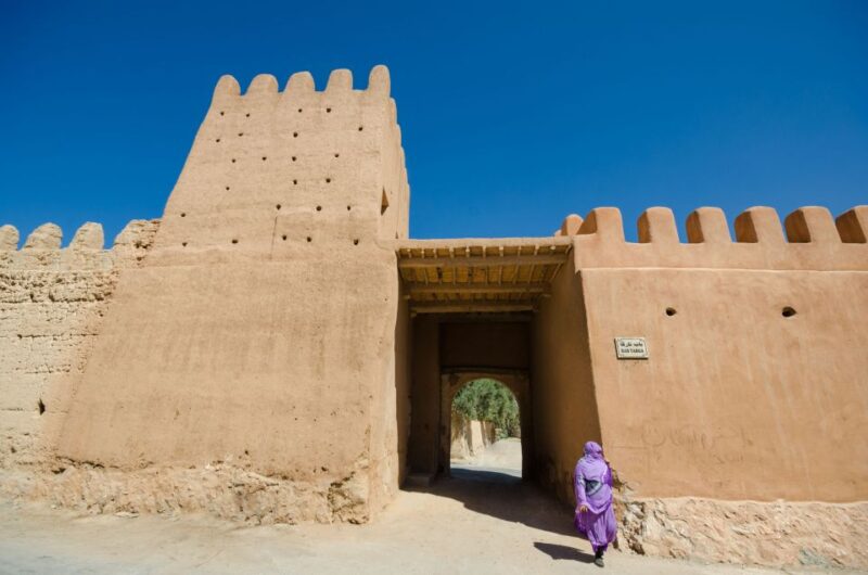From Taghazout: Massa Desert and Tiznit Visit With Lunch - Key Points