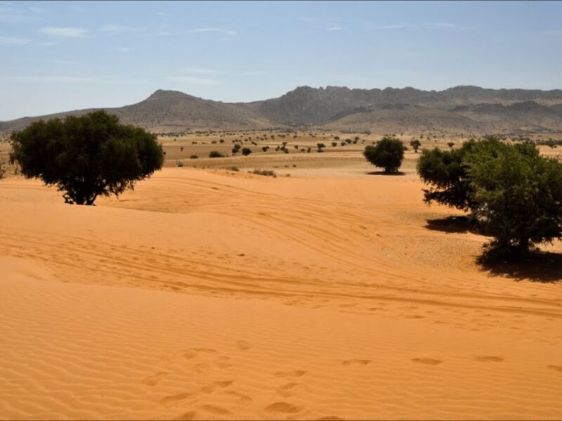 From Taghazout: Massa Desert and Tiznit Visit With Lunch - Sidi Rbat Fishing Village