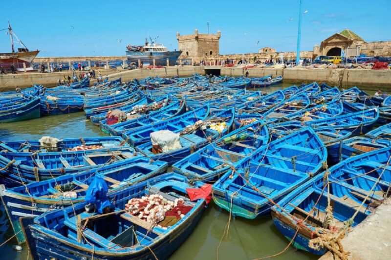 From Taghazout or Agadir: Marrakech and Essaouira 2-Day Trip - Experience Highlights