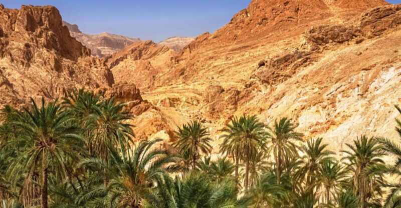 From Taghazout: Paradise Valley Natural Atlas Guided Tour - Key Points