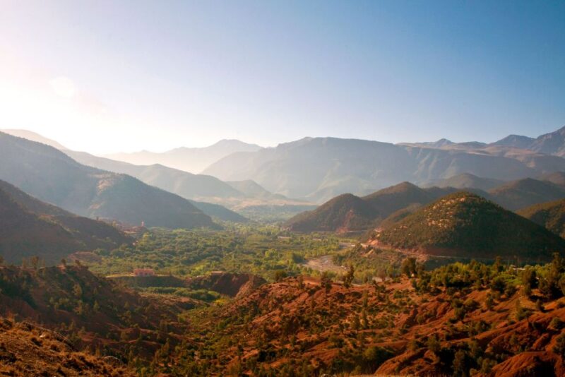 From Taghazout: Paradise Valley Natural Atlas Guided Tour - Customer Reviews