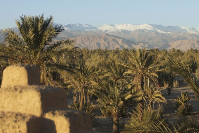 From Taghazout: Paradise Valley Natural Atlas Guided Tour - Exploring Paradise Valley
