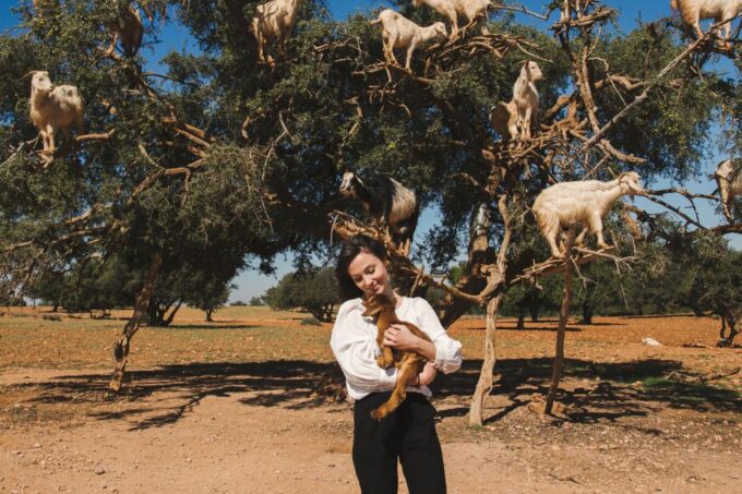 From Taghazout: Tree-Climbing Goats Sightseeing Tour - Sustainability Efforts