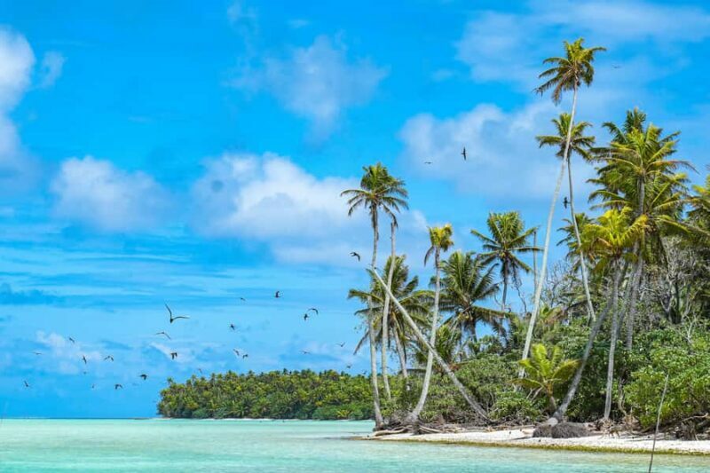 From Tahiti: Tetiaroa Island Tour by Sailing Catamaran - Key Points