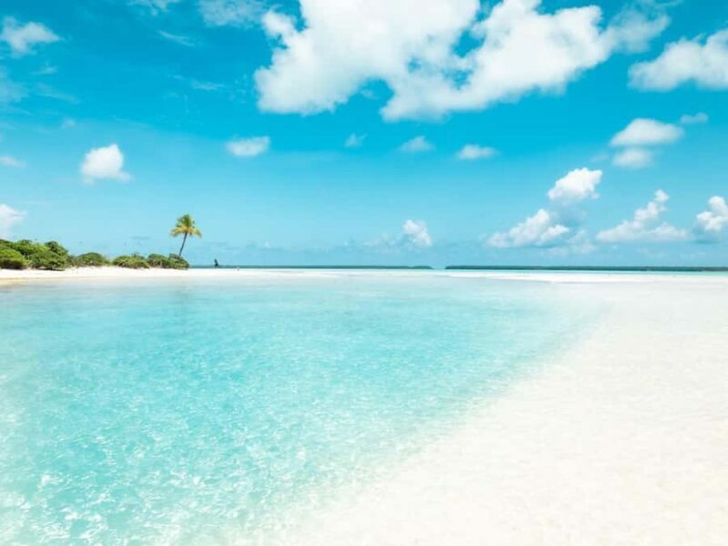 From Tahiti: Tetiaroa Island Tour by Sailing Catamaran - Final Thoughts: Who Would Love This?