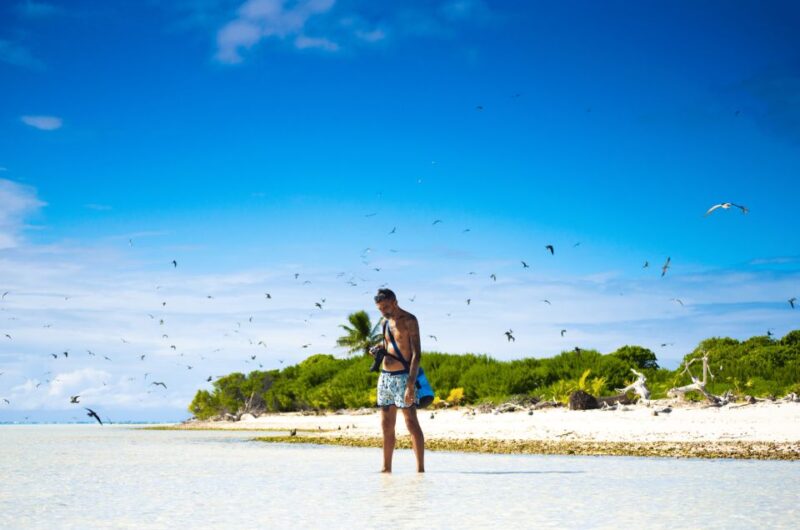 From Tahiti: Tetiaroa Island Tour by Sailing Catamaran - Key Points