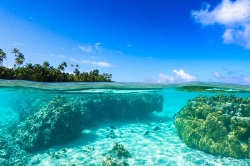 From Tahiti: Tetiaroa Island Tour by Sailing Catamaran - Pricing and Inclusions