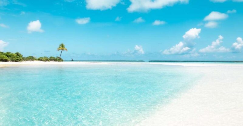 From Tahiti: Tetiaroa Island Tour by Sailing Catamaran - Highlights of the Tour