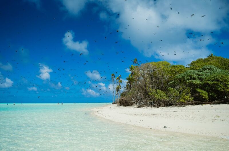 From Tahiti: Tetiaroa Island Tour by Sailing Catamaran - Meeting Point and Recommendations