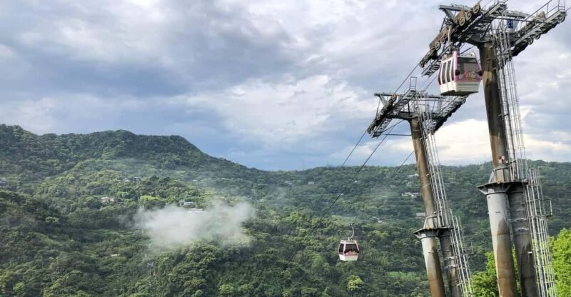 From Taipei: Pinglin Tea Culture and Maokong Guided Day Tour - Itinerary Highlights