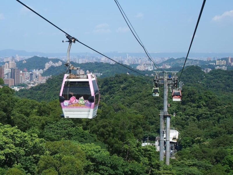 From Taipei: Pinglin Tea Culture and Maokong Guided Day Tour - Customer Reviews and Feedback