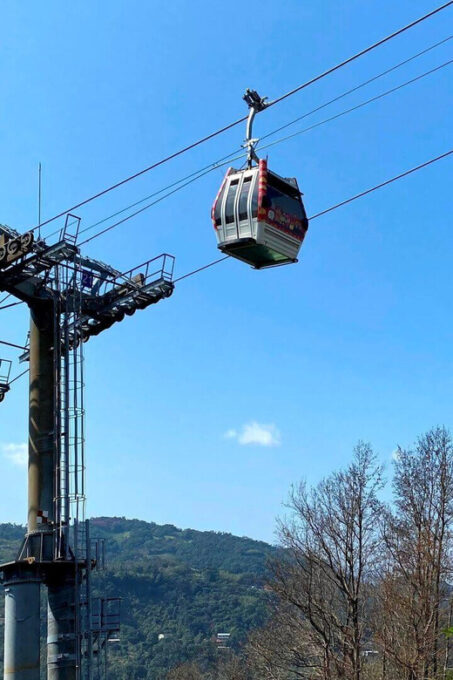 From Taipei: Pinglin Tea Culture and Maokong Guided Day Tour - Scenic Maokong Gondola Ride