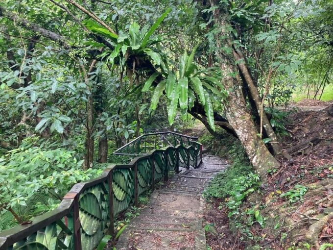 From Taipei: Pinglin Tea Culture and Maokong Guided Day Tour - Frequently Asked Questions