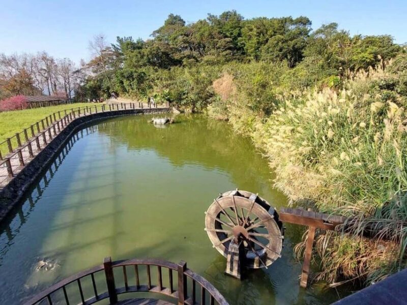 From Taipei: Pinglin Tea Culture and Maokong Guided Day Tour - Itinerary Highlights
