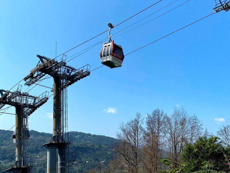 From Taipei: Pinglin Tea Culture and Maokong Guided Day Tour - Transportation and Accessibility