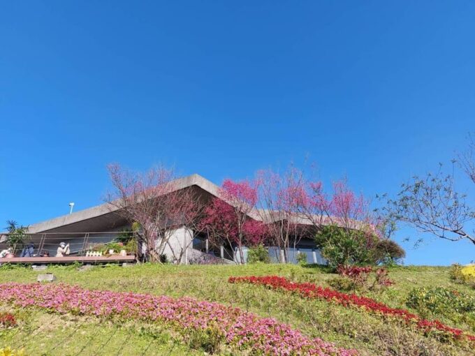 From Taipei: Pinglin Tea Culture and Maokong Guided Day Tour - Scenic Maokong Gondola Ride