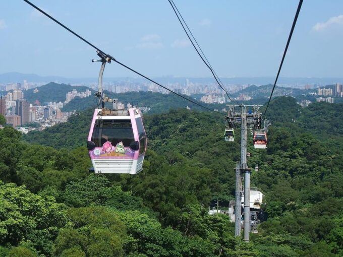 From Taipei: Pinglin Tea Culture and Maokong Guided Day Tour - Immerse in Tea Culture