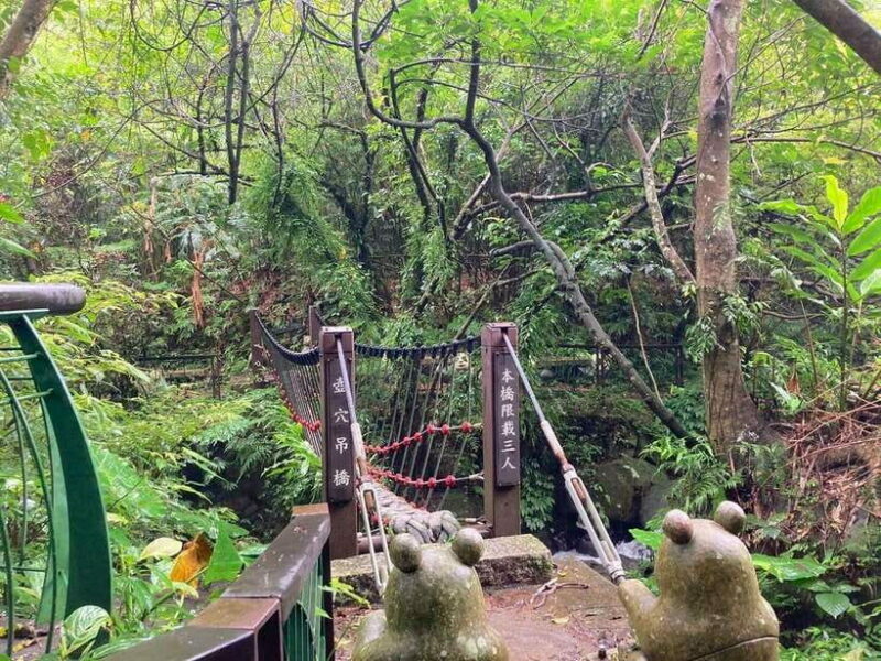 From Taipei: Pinglin Tea Culture and Maokong Guided Day Tour - Who Will Love This Tour?