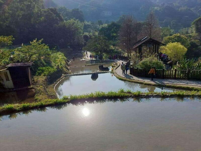 From Taipei: Pinglin Tea Culture and Maokong Guided Day Tour - Summing Up