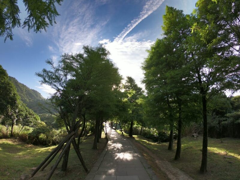 From Taipei: Private Yangmingshan Volcano and Nature Tour - Experience Features