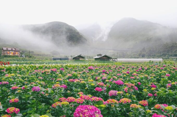 From Taipei: Private Yangmingshan Volcano and Nature Tour - Xiaoyoukeng and Qingtiangang