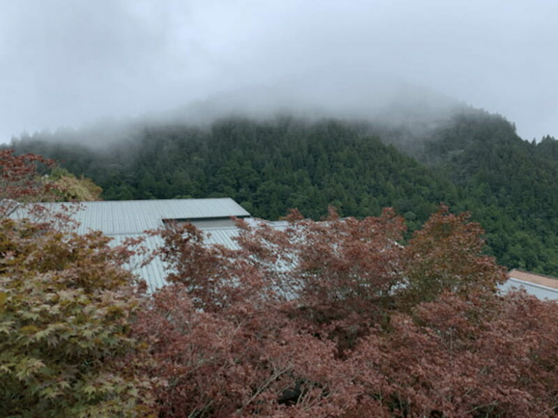 From Taipei: Taipingshan & Jiuzhize Hot Spring Private Tour - Practical Considerations for Travelers
