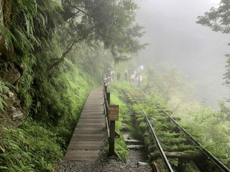 From Taipei: Taipingshan National Forest Private Day Tour - A Deep Dive into the Taipingshan Experience