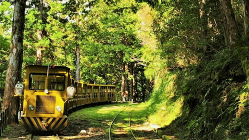 From Taipei: Taipingshan National Forest Private Day Tour - The Sum Up