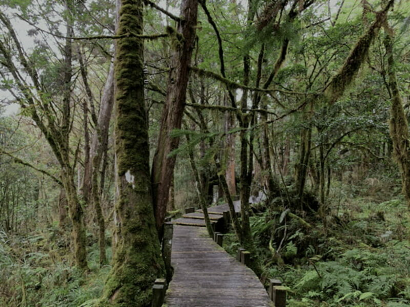 From Taipei: Taipingshan National Forest Private Day Tour - FAQ