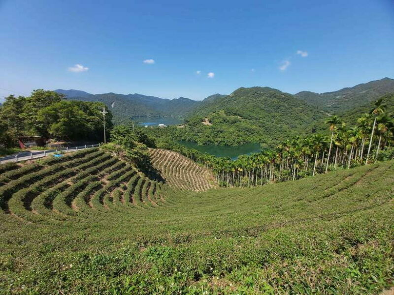 From Taipei: Thousand Island Lake and Pinglin Tea Plantation - Final Thoughts