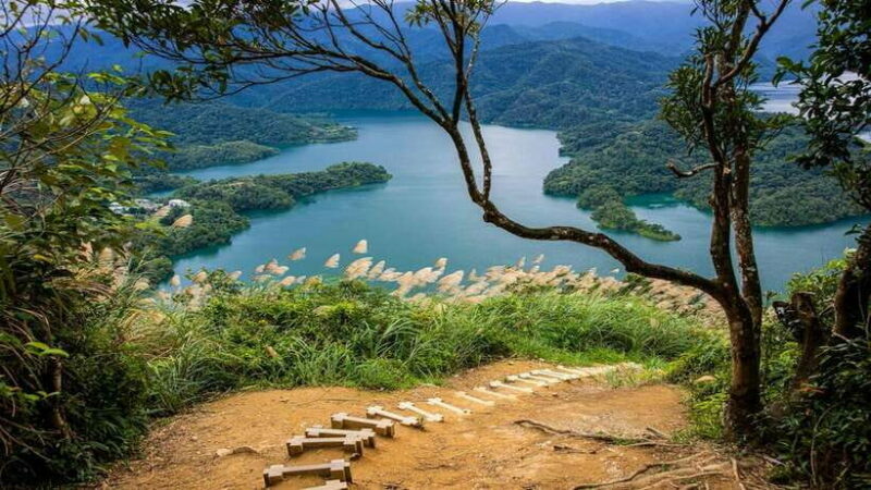 From Taipei: Thousand-Island Lake & Tea Museum Private Tour - An In-Depth Look at the Tour