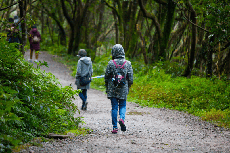 From Taipei : Yangmingshan, Yehliu, Jiufen, Shifen Day Tour - Key Points