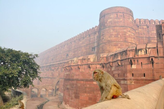 From Taj to Jodhpur A 7-Day Indian Adventure - Jodhpur to Delhi