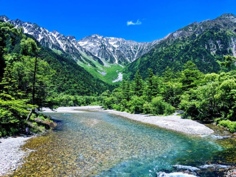 From Takayama: Cultural Heritage & Kamikochis Alpine Beauty - Encountering Squirrels in the Forest