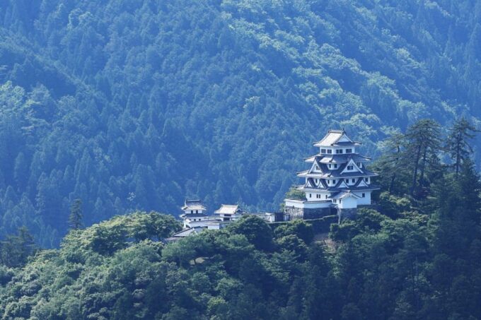 From Takayama: Gujo Hachiman -History, Traditions and Crafts - Replica Food Crafting Workshop