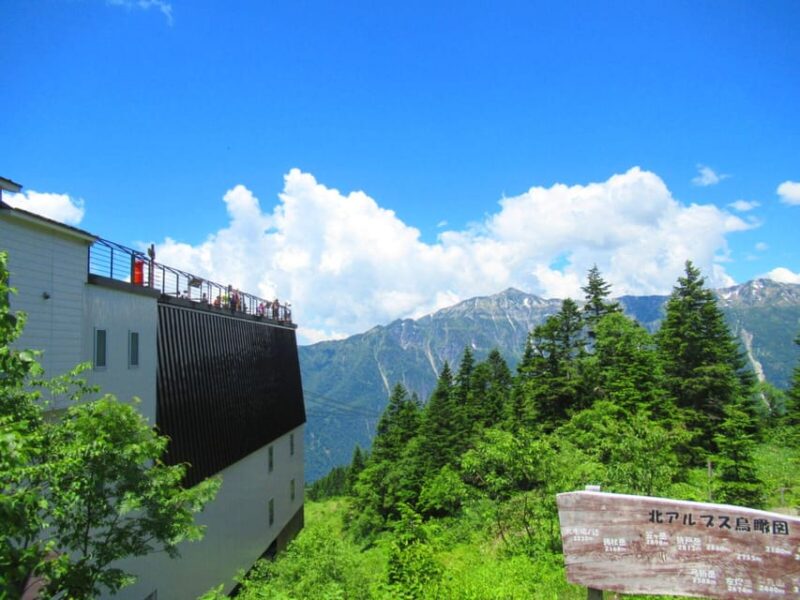 From Takayama: Shinhotaka Ropeway and Kamikochi Tour - Shinhotaka Ropeway Experience