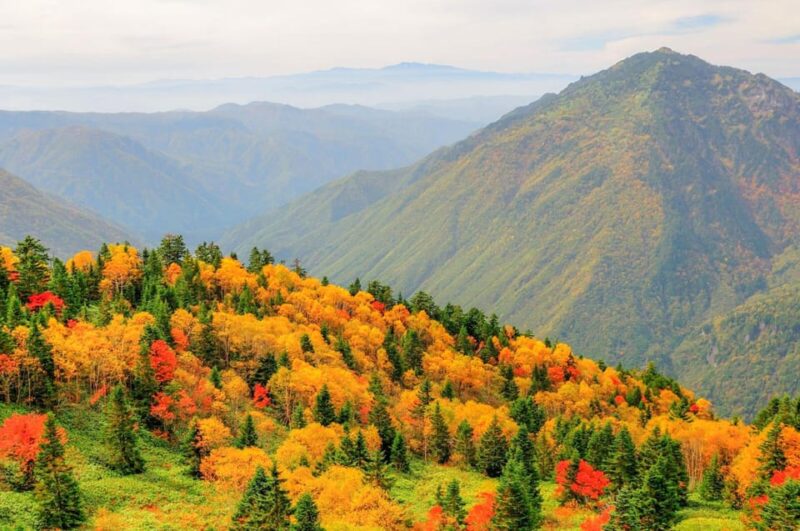 From Takayama: Shinhotaka Ropeway and Kamikochi Tour - Kamikochi Exploration