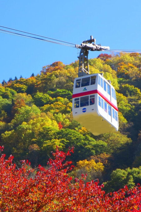 From Takayama: Shinhotaka Ropeway and Kamikochi Tour - What to Bring and Wear