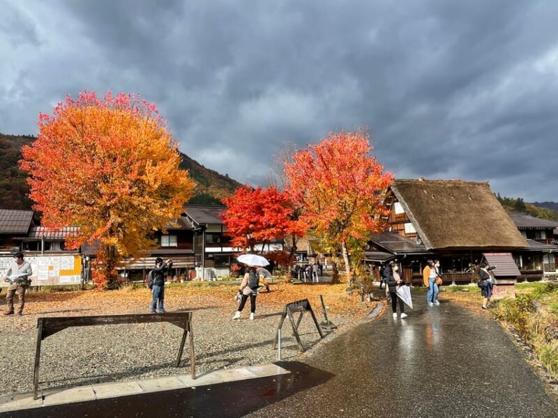 From Takayama: Shirakawago UNESCO World Heritage Site Tour - Experience Highlights