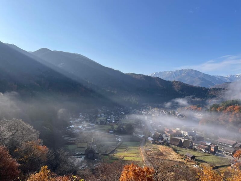 From Takayama: Shirakawago UNESCO World Heritage Site Tour - Visitor Statistics