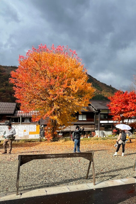 From Takayama: Shirakawago UNESCO World Heritage Site Tour - Frequently Asked Questions